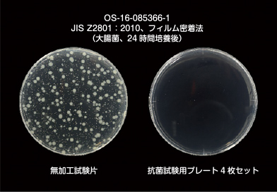 黄色ブドウ球菌と大腸菌の培養試験での結果写真1